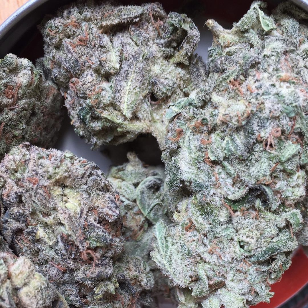 Strain Review: Yoda OG - The Highest Critic