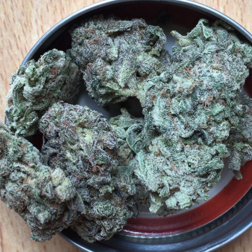 Strain Review Yoda OG The Highest Critic