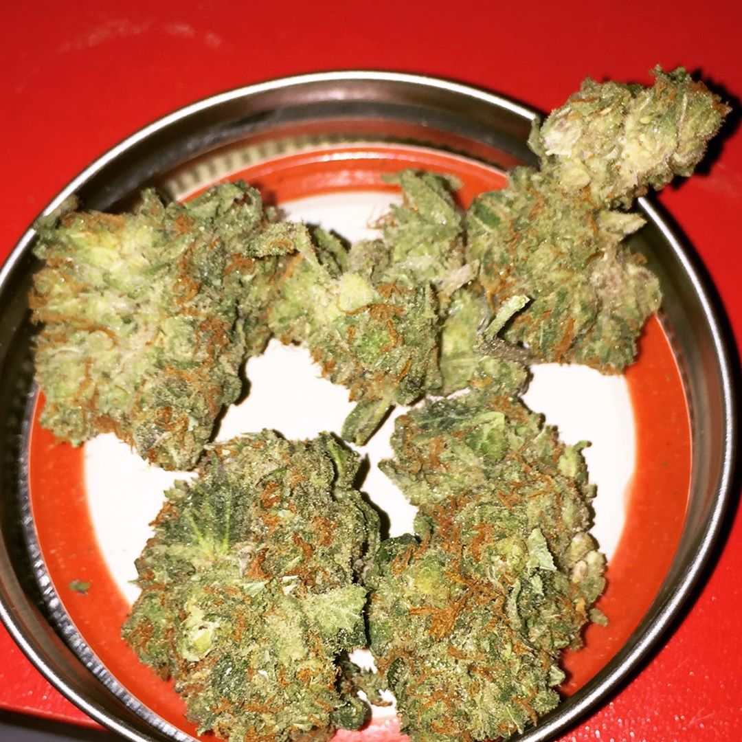 French Cookies Strain Strain Review Zombie Kush Bubba Kush x Sideral 