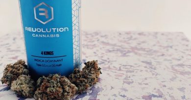 4 kings by revolution cannabis strain review by upinsmokesession