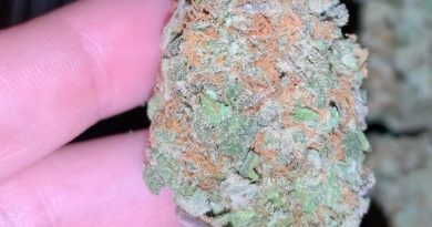 abusive og by devil's harvest krew strain review by thatcutecannacouple