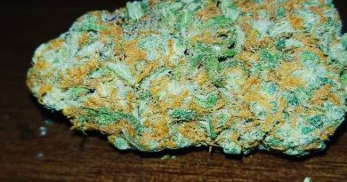 acapulco gold strain review by sticky_haze420