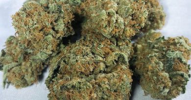 alien og strain review by budfinderdcalien og strain review by budfinderdc