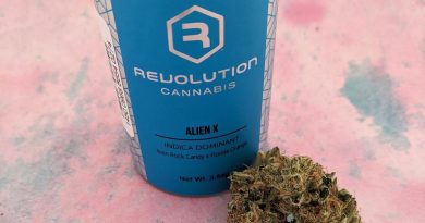 alien x by revolution cannabis strain review by upinsmokesession