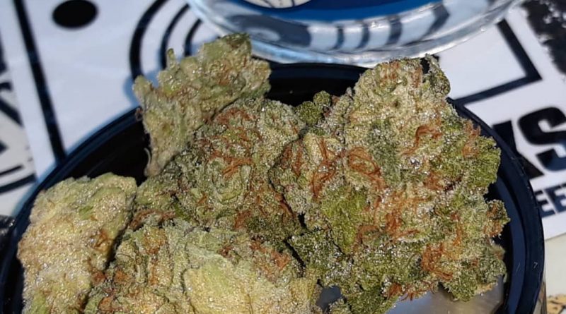 banana pudding by cypress cannabis strain review by sjweedreview
