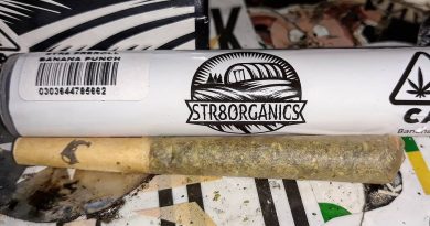 banana punch preroll by str8 organics strain review by sjweedreviewbanana punch preroll by str8 organics strain review by sjweedreview