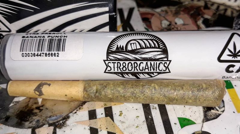 banana punch preroll by str8 organics strain review by sjweedreviewbanana punch preroll by str8 organics strain review by sjweedreview