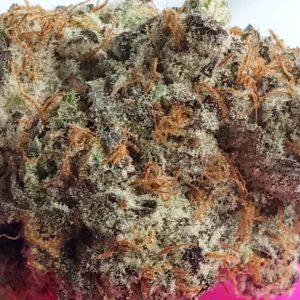 black cherry punch nug by high noon cultivation strain review by pdxstoneman