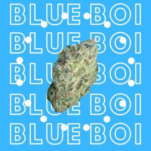 blue boi by ascension strain review by ohio_marijuana