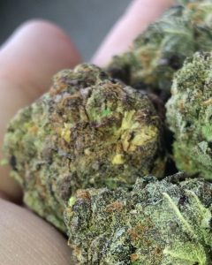 candyland by ken estes strain review by thatcutecannacouple 2