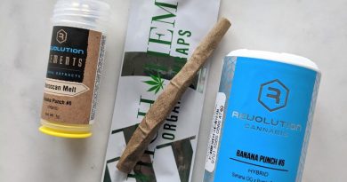 cbd high hemp wraps with banana punch #6 flower and hash rolling review by upinsmokesession