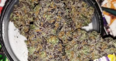 cement shoes by krush kings strain review by sjweedreview