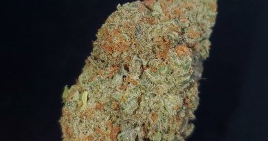 cherry pie by flavour chasers strain review by _scarletts_strains_