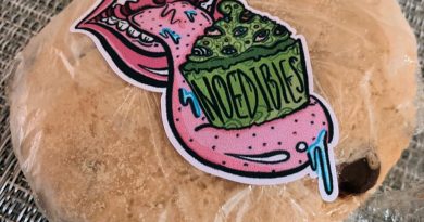cinnamon chocolate chip cookie by noedibles review by trippietropical