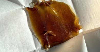 cookies n chem shatter by island extracts concentrate review by trippietropical