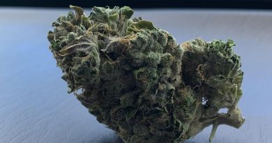 cowboy kush by greenpoint seeds strain review by trippietropical
