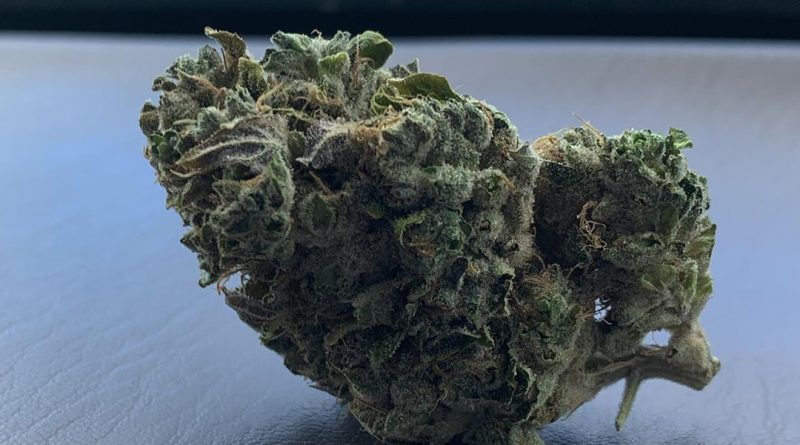 cowboy kush by greenpoint seeds strain review by trippietropical