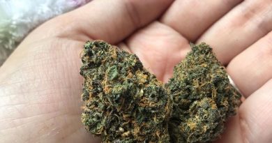 critical cookie by scapegoat genetics strain review by thatcutecannacouple