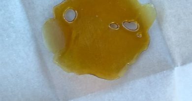 dream catcher shatter by PRICH biotech concentrate review by trippietropical