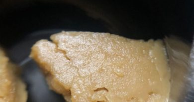 dutch hawaiian rosin by blue river terps concentrate review by shanchyrls 2
