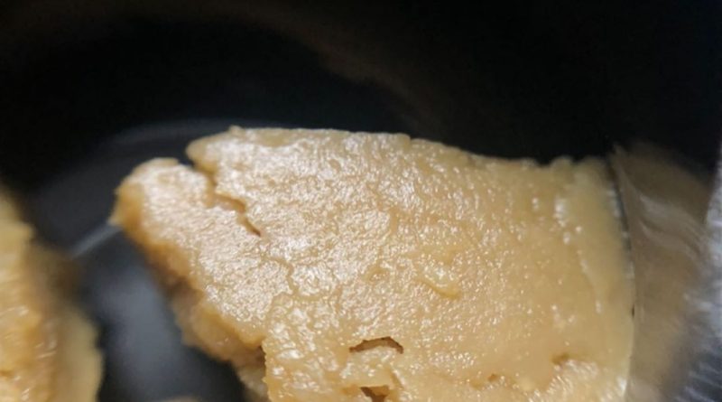 dutch hawaiian rosin by blue river terps concentrate review by shanchyrls 2