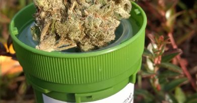 elephant ears by eastwood gardens strain review by pdxstoneman