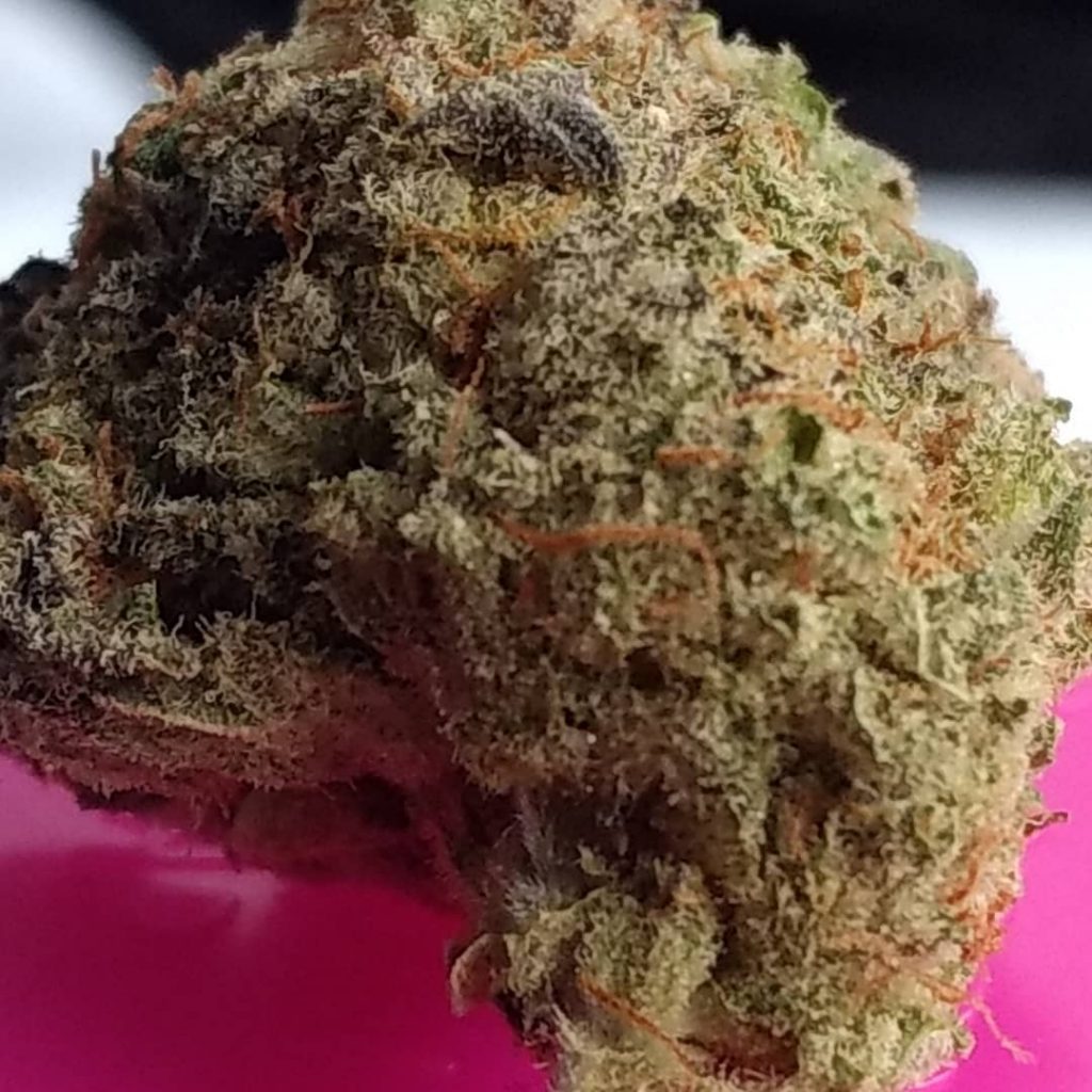 Strain Review: Elephant Stomper By Fire Flower - The Highest Critic