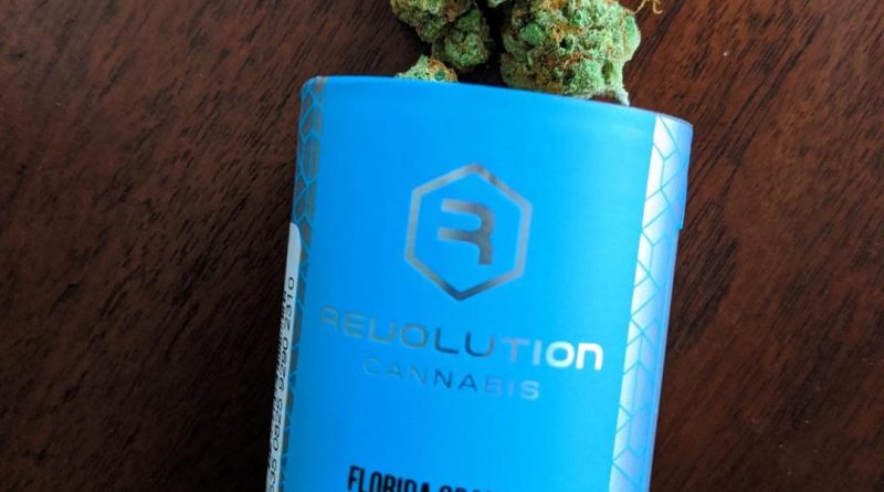 florida orange by revolution cannabis strain review by upinsmokesession
