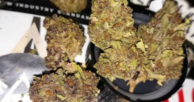 forbidden apple by north country pharms strain review by sjweedreview