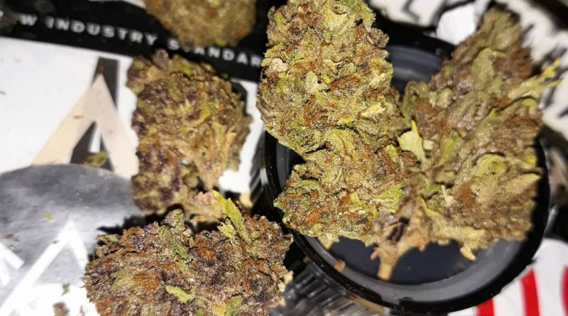 forbidden apple by north country pharms strain review by sjweedreview