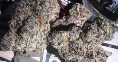 fruit flambe by korova strain review by sjweedreview