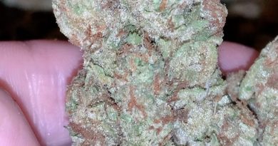 fruit punch by heavyweight seeds strain review by thatcutecannacouple