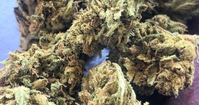 galactic punch cbd by starseed botanicals strain review by consciouscloudscbd