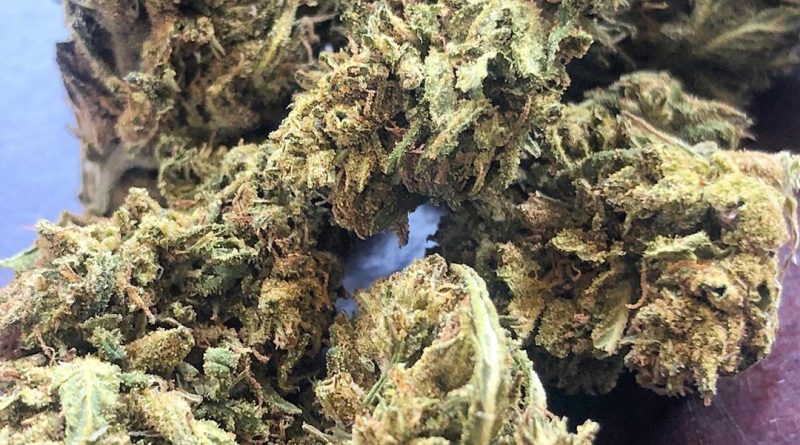galactic punch cbd by starseed botanicals strain review by consciouscloudscbd