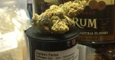 garlic breath by eugreen farms strain review by pdxstoneman