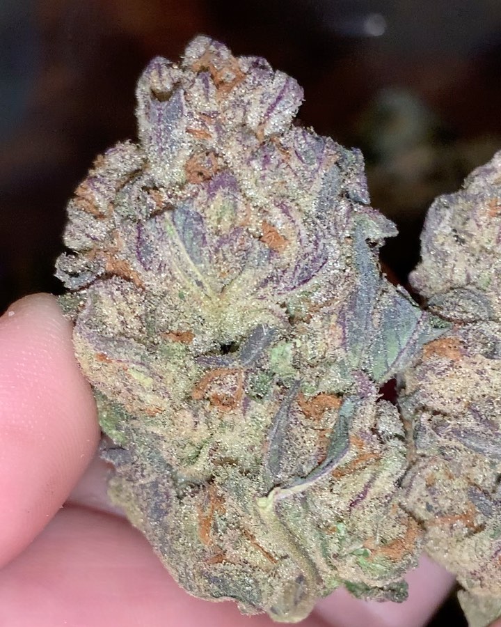 purple urkle weed snoop