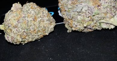 grape jelly by mary jones and uncle spaceman strain review by sticky_haze420