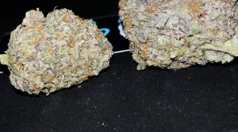 grape jelly by mary jones and uncle spaceman strain review by sticky_haze420