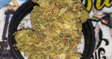 grapefruit kush by madrone strain review by sjweedreview