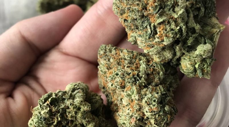 green crack aka cush by cecil c strain review by thatcutecannacouple