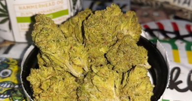 hammerhead og by legion of bloom strain review by sjweedreview