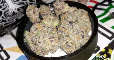 heavy punch by green peakz strain review by sjweedreview