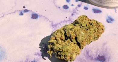 holy grail kush hgk by nature's grace and wellness strain review by upinsmokesession