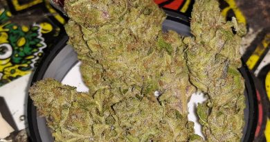 hoof #4 by monterey kush co. strain review by sjweedreview