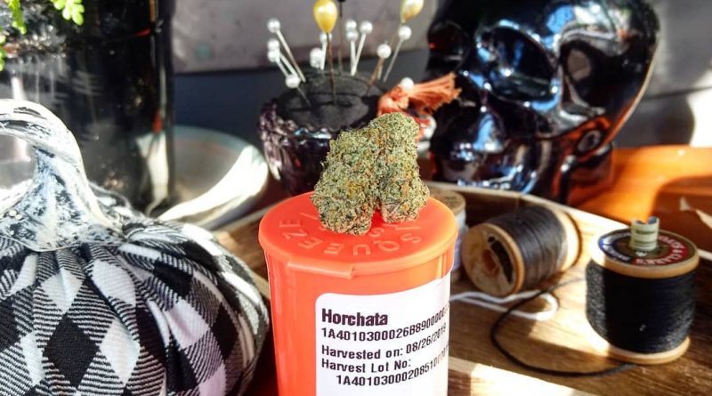horchata by meraki gardens strain review by pdxstoneman