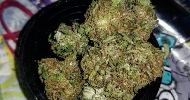 huckleberry by full sun farms strain review by sjweedreview