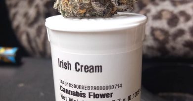 irish cream by high noon strain review by pdxstoneman