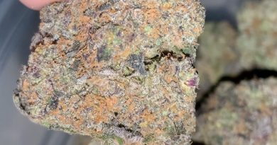 jet fuel by 303 seeds strain review by thatcutecannacouple