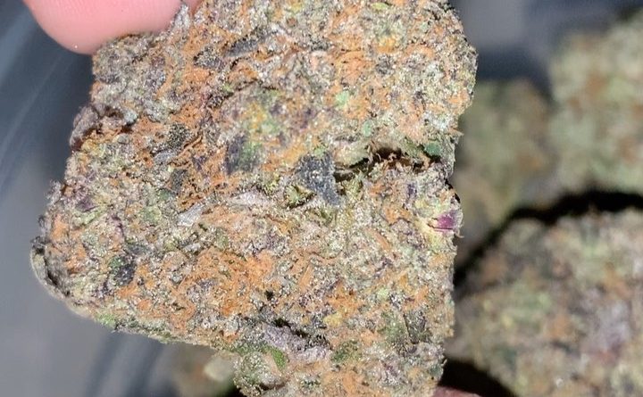 jet fuel by 303 seeds strain review by thatcutecannacouple
