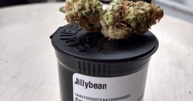 sour jack from MÜV Florida sativa strain review by indicadam